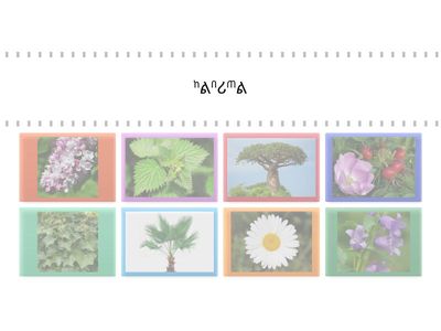 3 модуль русский язык скорочтение урок 20