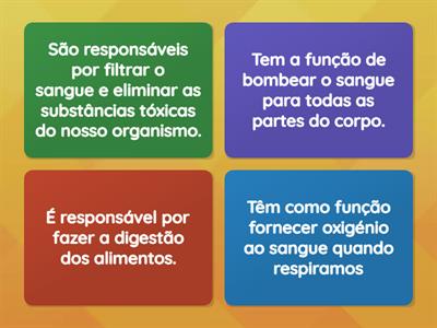 Funções dos principaos órgãos do Corpo Humano - 2º ano 