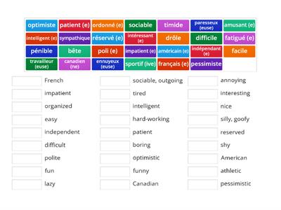 Les Adjectifs: match up  