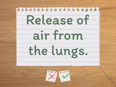 Breathing and Gas Exchange