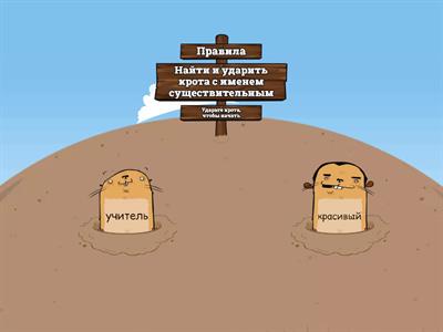 имя существительное