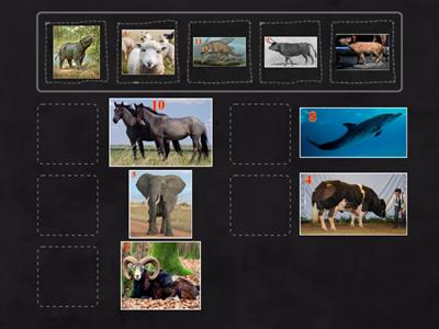 Quá khứ - Hiện tại