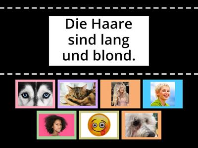 Опис облличчя - німецька 6 клас