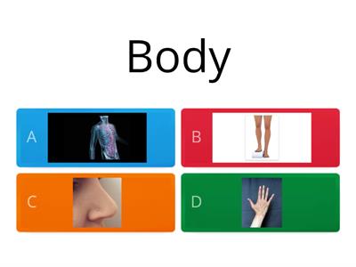 Body parts