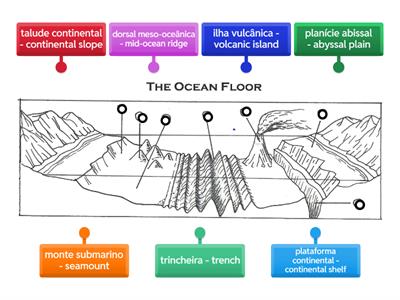 Portuguese - Ocean Floor Diagram