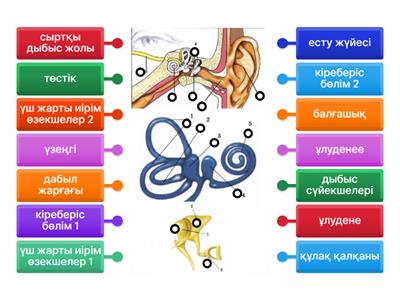 Таңдалған порно кастингтер