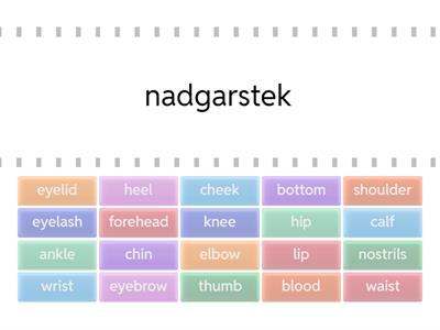 Parts of the Body