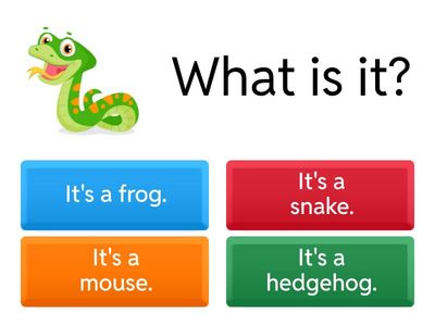 Angličtina 3. ročník - Animals (What's this?)