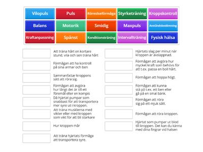 KROPPSLIGA EFEKTER AV OLIKA TRÄNINGSFORMER