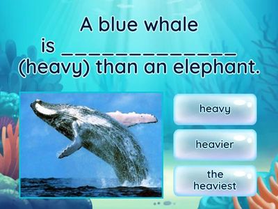 Comparison of adjectives 