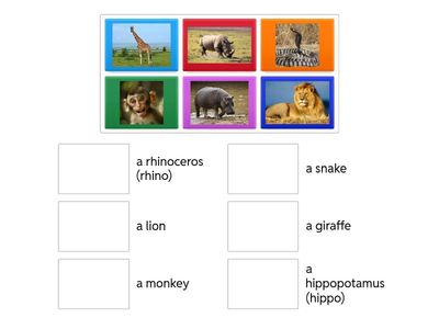 AJ 3 African animals 