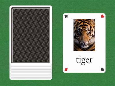 Describe and guess - animals