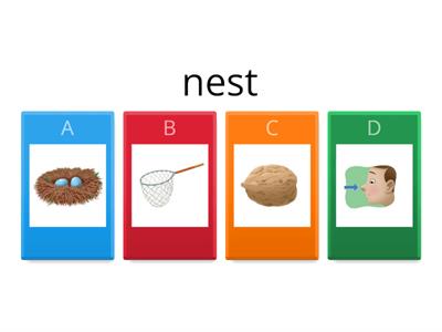 Oxford Phonics Letter Nn