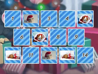 Морські свинки