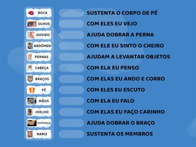 PARTES DO CORPO HUMANO