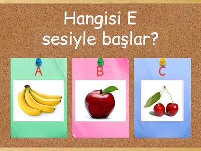 E SESİ