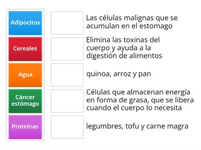 Alimentación saludable 