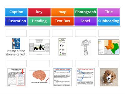 Second Grade Text Features