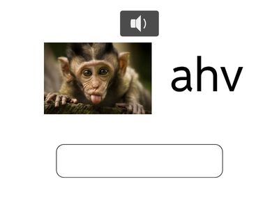 Unit 5 KORDAMINE animals/birds 