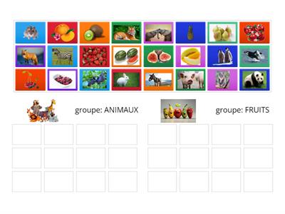 Animaux et Fruits