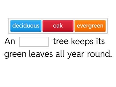Types of Trees 