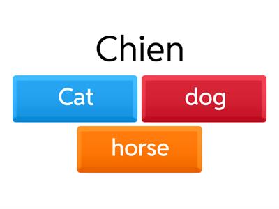 Summer test 2nd years