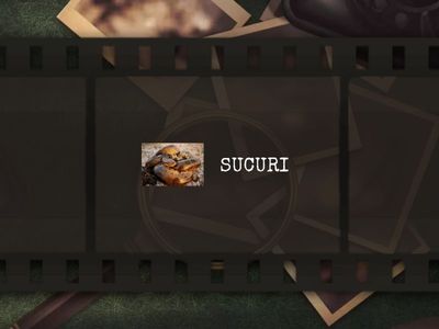 CONHEÇA ALGUNS DOS ANIMAIS DO PANTANAL