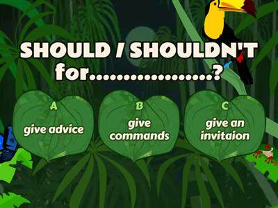 FURTHER PRACTICE : SHOULD/SHOULDNT, SOME AND ANY