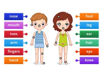 Year 2 Unit 8: The robot (Body parts) pg94