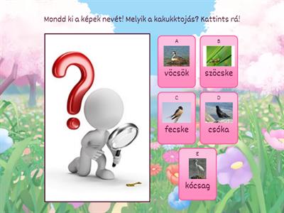 Cs hang kakukktojás 