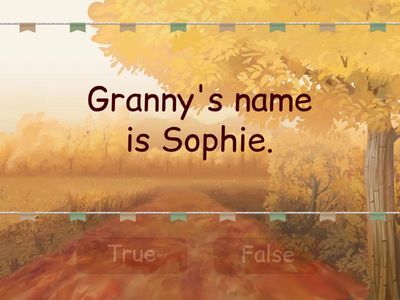 Go getter 1. It's granny's birthday! 1.2