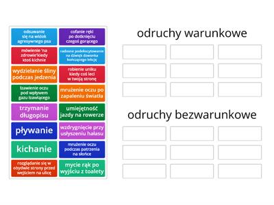 Odruchy warunkowe i bezwarunkowe 