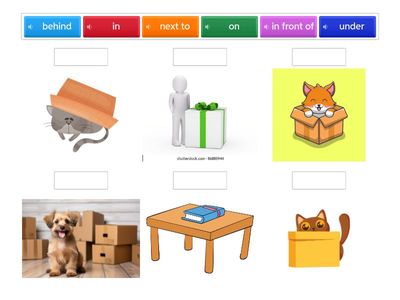 Prepositions: on, in, under, next to, behind, in front of