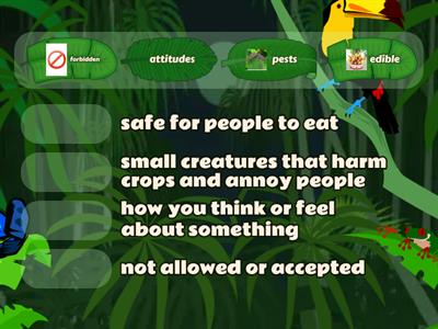 Bug Bites Vocabulary