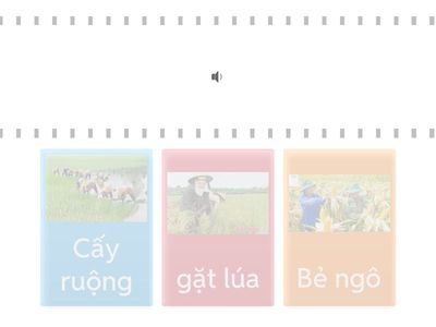 LQ từ: Bẻ ngô,  cấy lúa, gặt lúa,