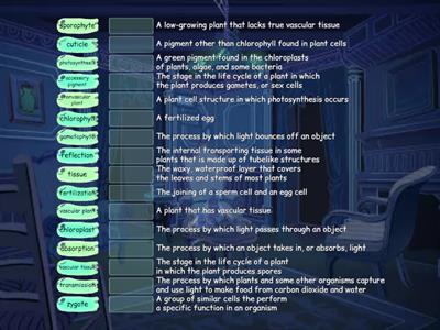 Science: Chapter 8 vocab.