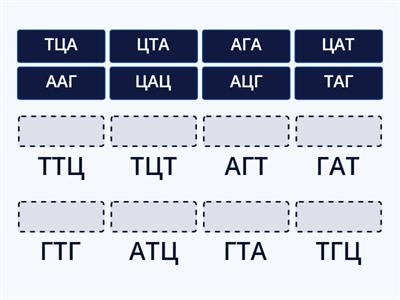 Комплементарність ДНК
