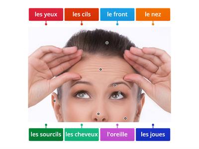 Le visage in francese