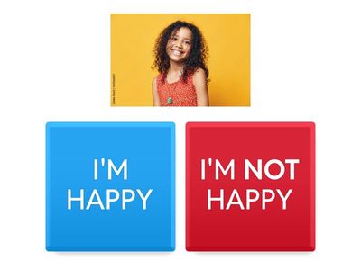 FEELINGS - affermative, negative, Q&A