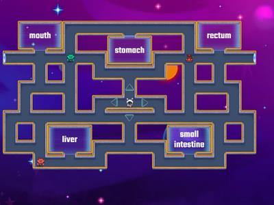 FFynone House AQA Biology. Enzymes and digestion maze chase