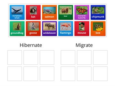 Hibernation vs. Migration