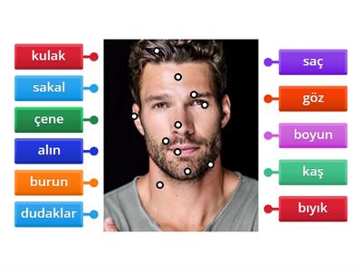 Описание лица. Турецкий язык А1.2