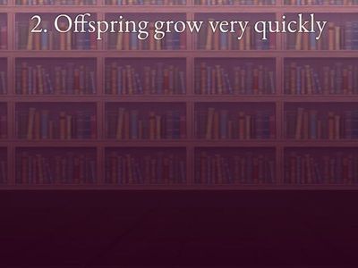  Asexual and sexual reproduction flying fruit word wall 3