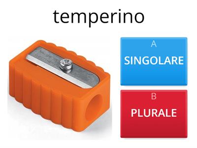 SINGOLARE E PLURALE per stranieri