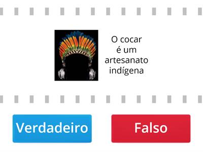 Sobre os indígenas responda verdadeiro ou falso.