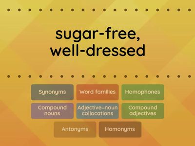 Vocabulary: Match the pairs of words and phrases with the terms that describe them. (Grammar Test)