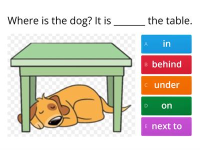 Prepositions (in-on-under-next to-behind)