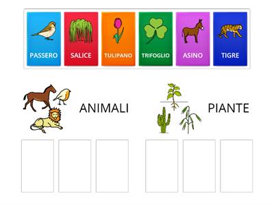 ANIMALI E PIANTE - CLASSIFICAZIONE (Comunicazione Aumentativa Alternativa) - Difficoltà MEDIA