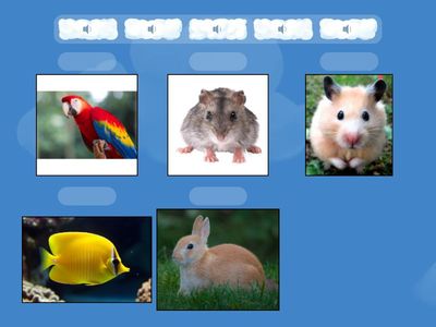 Карпюк 1 animals 1 (audio)