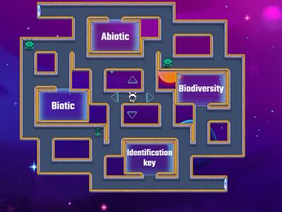  Ecosystem terms S2 (maze chase)